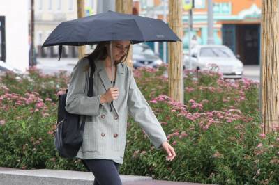 Дождливый и прохладный день ожидает жителей Москвы 21 июля - vm.ru - Ивановская обл. - Москва