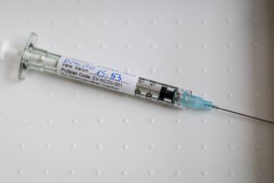 Оценены шансы коронавируса стать сезонным - lenta.ru - Россия - США
