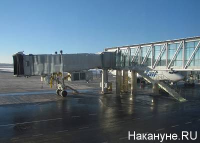 СМИ: Международные рейсы могут открыть из шести российских городов - nakanune.ru - Россия - Турция - Минск