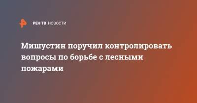 Михаил Мишустин - Виктория Абрамченко - Мишустин поручил контролировать вопросы по борьбе с лесными пожарами - ren.tv - Россия