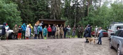 Поиски пенсионера с потерей памяти, ушедшего две недели назад с дачи, продолжаются в Карелии - stolicaonego.ru - Карелия
