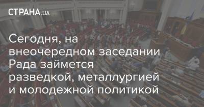 Дмитрий Разумков - Сегодня, на внеочередном заседании Рада займется разведкой, металлургией и молодежной политикой - strana.ua - Парламент