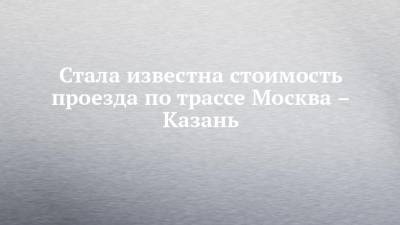 Вячеслав Петушенко - Стала известна стоимость проезда по трассе Москва – Казань - chelny-izvest.ru - Россия - Казань