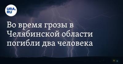 Во время грозы в Челябинской области погибли два человека. Один из них ребенок - ura.news - Челябинская обл.
