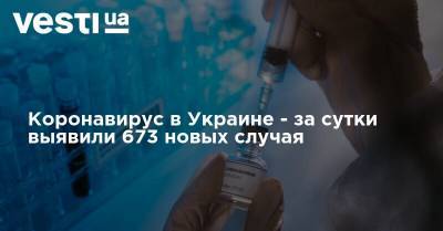 Коронавирус в Украине - за сутки выявили 673 новых случая - vesti.ua - Украина