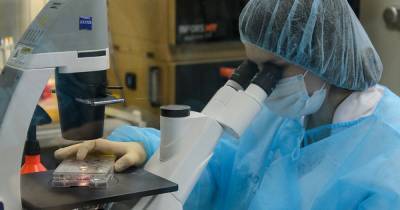 В Роспотребнадзоре выявили изменения генома COVID-19 - expert.ru - Россия