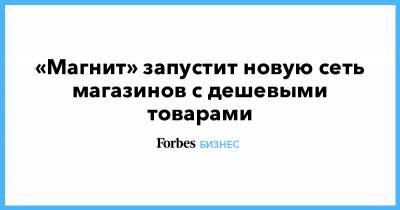 Ян Дюннинг - «Магнит» запустит новую сеть магазинов с дешевыми товарами - forbes.ru - Самара - Ульяновская