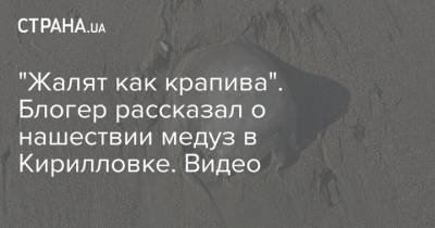 Блогер - "Жалят как крапива". Блогер рассказал о нашествии медуз в Кирилловке. Видео - strana.ua - Азовское Море