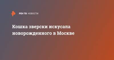 Кошка зверски искусала новорожденного в Москве - ren.tv - Австралия - Мельбурн - Москва