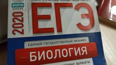 Айбулат Хажин - В Башкирии 11 школьникам придётся заплатить штраф за попытку списать на ЕГЭ - ufacitynews.ru - Башкирия