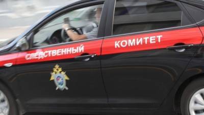 СК сообщил о задержании нападавшего на женщин «бутовского маньяка» - 5-tv.ru - Россия