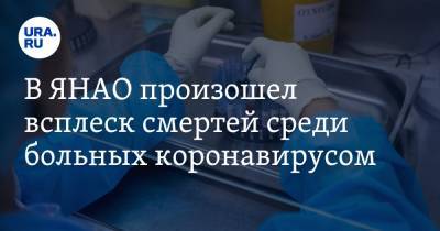 Татьяна Бучкова - В ЯНАО произошел всплеск смертей среди больных коронавирусом - ura.news - окр. Янао
