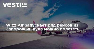 Wizz Air - Wizz Air запускает ряд рейсов из Запорожья: куда можно полететь - vesti.ua - Украина - Киев - Запорожье - Греция