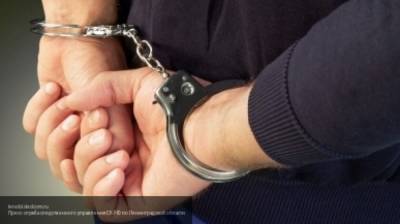 Двое москвичей опоили и изнасиловали 17-летнюю девушку - nation-news.ru - Того