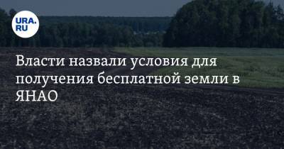 Александр Козлов - Власти назвали условия для получения бесплатной земли в ЯНАО - ura.news - Россия - окр. Янао