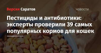 Пестициды и антибиотики: эксперты проверили 39 самых популярных кормов для кошек - nversia.ru