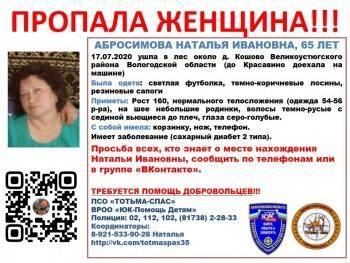 В Великоустюгском районе продолжается поиск пропавшей женщины - vologda-poisk.ru - Вологодская обл. - район Великоустюгский