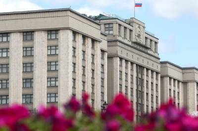 Госдума приняла закон о многодневном голосовании на выборах всех уровней - vm.ru