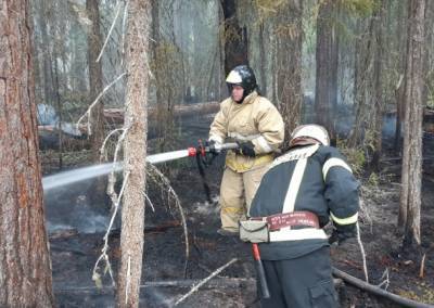 В Койгородском районе потушили лесной пожар - bnkomi.ru - респ. Коми - район Койгородский