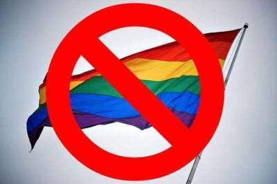 В Сейме Латвии разгорелся скандал из-за геев - argumenti.ru - Латвия