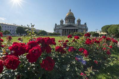 Петербург обошёл Москву в рейтинге регионов по качеству жизни - pnp.ru - Санкт-Петербург - Краснодарский край - Московская обл. - респ. Ингушетия - Белгородская обл. - Тюменская обл. - респ. Алтай - Воронежская обл. - Еврейская обл. - респ.Бурятия - Курганская обл. - Югра - респ. Марий Эл - респ. Калмыкия - респ. Карачаево-Черкесия - респ. Хакасия