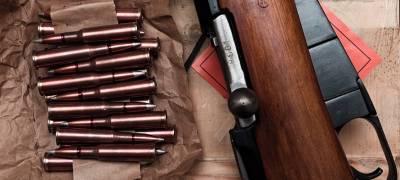 Суд оштрафовал жителя Карелии за хранение винтовки - stolicaonego.ru - Карелия - район Суоярвский