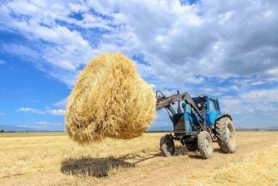 В Курской области началась уборочная страда - chr.mk.ru - Курская обл.