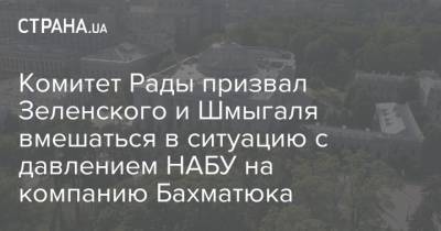 Олег Бахматюк - Комитет Рады призвал Зеленского и Шмыгаля вмешаться в ситуацию с давлением НАБУ на компанию Бахматюка - strana.ua - Украина