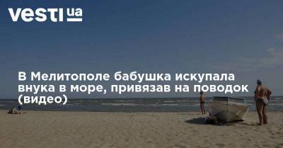 В Мелитополе бабушка искупала внука в море, привязав на поводок (видео) - vesti.ua - Киев - Мелитополь - Азовское Море