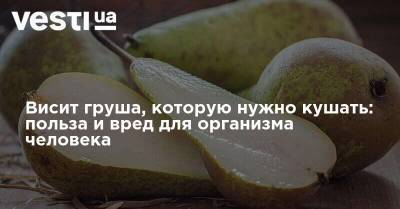 Висит груша, которую нужно кушать: польза и вред для организма человека - vesti.ua - Греция - Керчь