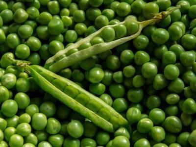 Диетолог рассказала, какой продукт поможет в борьбе со старением и атеросклерозом - rosbalt.ru