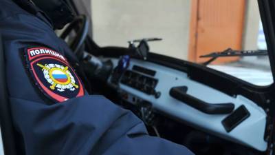 Татьяна Петрова - Полиция начала проверку инцидента с ребёнком в Подольске - russian.rt.com - Россия - Московская обл. - Подольск