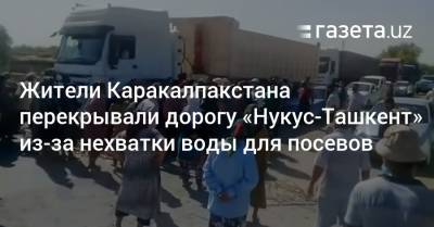 Дехкане перекрывали дорогу «Нукус — Ташкент» из-за нехватки воды для посевов - gazeta.uz - Узбекистан - Ташкент