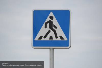 Мужчина сбил двух женщин и ребенка на пешеходном переходе в Твери - newinform.com - Тверь
