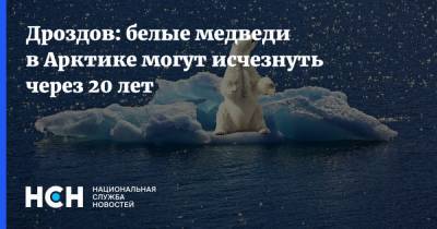 Николай Дроздов - Дроздов: белые медведи в Арктике могут исчезнуть через 20 лет - nsn.fm - Арктика
