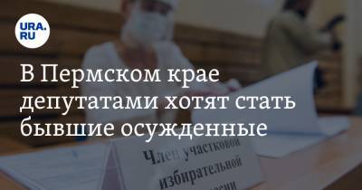 В Пермском крае депутатами хотят стать бывшие осужденные - ura.news - Пермский край