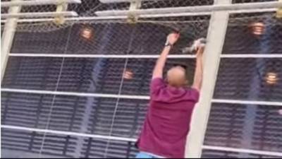 Видео: на перроне поезда в Беэр-Шеве спасли погибающего голубя - vesty.co.il - Израиль