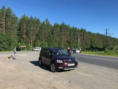 На выходных автоинспекторы Сыктывкара задержали шестерых водителей в состоянии опьянения - komiinform.ru - Сыктывкар
