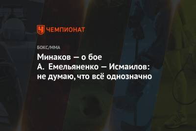 Магомед Исмаилов - Александр Емельяненко - Виталий Минаков - Минаков — о бое А. Емельяненко — Исмаилов: не думаю, что всё однозначно - championat.com