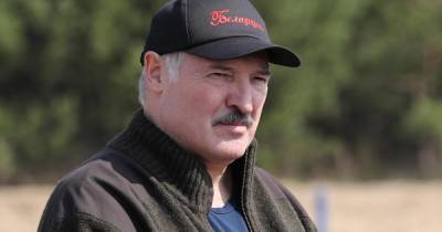 Александр Лукашенко - Лукашенко предрек белорусам погибель и нищету, если те бросят землю - ren.tv - Белоруссия