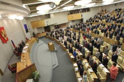 ГД приняла закон об электронной однократной визе - versia.ru - Россия