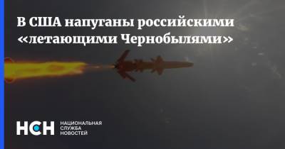 В США напуганы российскими «летающими Чернобылями» - nsn.fm - США