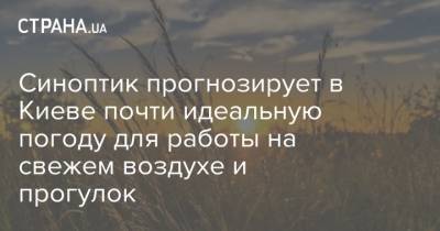 Наталья Диденко - Синоптик прогнозирует в Киеве почти идеальную погоду для работы на свежем воздухе и прогулок - strana.ua - Украина - Киев - Харьков - Черкасская обл. - Полтава - Черновцы - Сумы