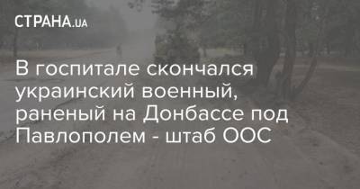 В госпитале скончался украинский военный, раненый на Донбассе под Павлополем - штаб ООС - strana.ua - населенный пункт Шумы - Военный