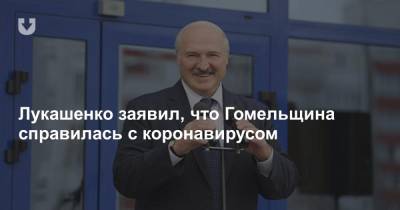 Александр Лукашенко - Лукашенко заявил, что Гомельщина справилась с коронавирусом - news.tut.by - Белоруссия - Гомель
