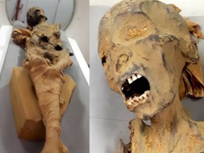 Захи Хавасс - Ученые раскрыли тайну мумии «кричащей женщины» - golos.ua - Украина