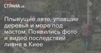 Плывущие авто, упавшие деревья и море под мостом. Появились фото и видео последствий ливня в Киее - strana.ua - Киев