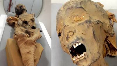Захи Хавасс - Египетские археологи раскрыли тайну «кричащей» мумии - newdaynews.ru - Египет