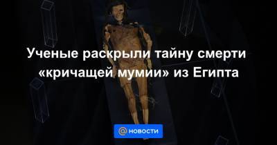 Захи Хавасс - Ученые раскрыли тайну смерти «кричащей мумии» из Египта - news.mail.ru - Египет