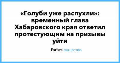 Сергей Фургал - Михаил Дегтярев - «Голуби уже распухли»: временный глава Хабаровского края ответил протестующим на призывы уйти - forbes.ru - Хабаровский край - Хабаровск